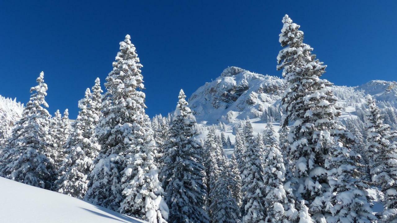 Mountain Chalet Milly リヴィーニョ エクステリア 写真